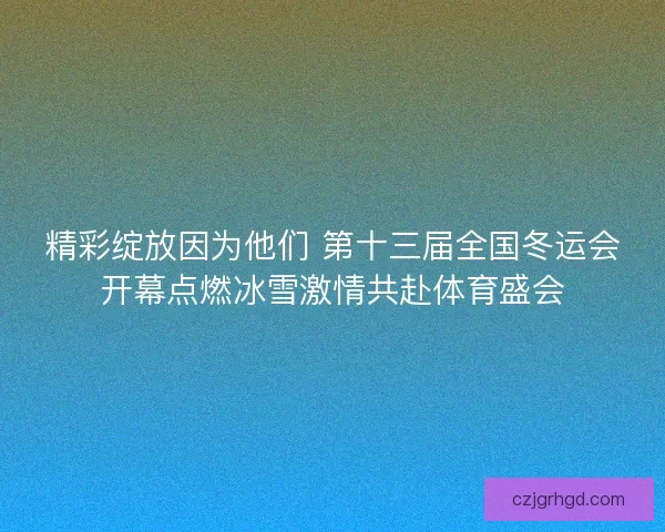 精彩绽放因为他们 第十三届全国冬运会开幕点燃冰雪激情共赴体育盛会